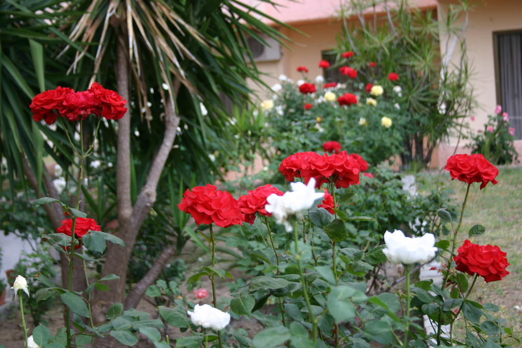 Lyristis Dinos Studios & Apartments Faliraki Dış mekan fotoğraf
